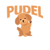 Hund Pudel