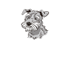 Hund Schnauzer Riesenschnauzer