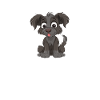Hund Schnauzer Riesenschnauzer