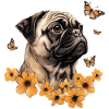 Pug