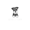 Hund Schnauzer Riesenschnauzer