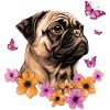 Pug with butterflies