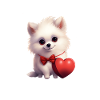 Poméranie chien maman Saint-Valentin