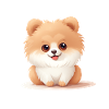 Poméranie chien maman Saint-Valentin