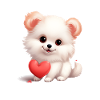 Poméranie chien maman Saint-Valentin