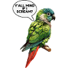 Green Cheeked Conure Meme