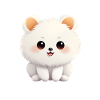 Poméranie chien maman Saint-Valentin
