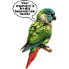 Grünwangen-Conure-Meme Lustiger Conure-Papagei