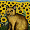 Cat in sunflower field