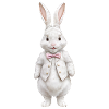 Lapin mignon blanc 4
