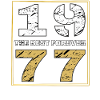 THE BEST FOREVER 1977