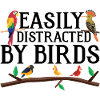Easily Distracted by Birds