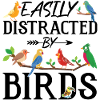 Easily Distracted by Birds