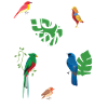 Facilement distrait par les oiseaux