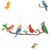 Easily Distracted by Birds