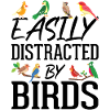 Facilement distrait par les oiseaux