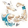 Podenco muscu gros biceps