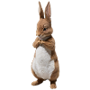 Mignon Lapin Marron 21