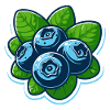 Blueberries Berries
