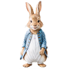 Cute bunny brown 17