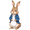 Cute bunny brown 12