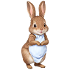 Cute bunny brown 11
