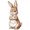Cute Bunny Brown 8