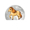 Shetland Pony Moon