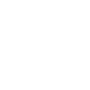 Année du Dragon 2024