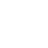 Année du Dragon 2024
