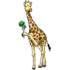 Giraffe Broccoli Vegetables