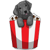 Maïs soufflé du Labrador