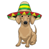 Dachshund Mexican Hat