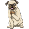 Pug Cookie