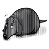 Teckel noir