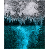 Tranquil Forest at Night