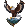 Beautiful bald eagle