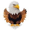 Beautiful bald eagle