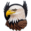 Beautiful bald eagle