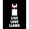 Live Love Llama