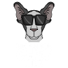 Chef Spruch Anführer Hund