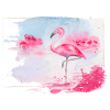 Flamant rose