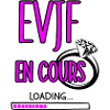 EVJF en cours