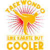 Taekwondo like Karate but Cooler