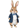 Mignon Lapin Marron 7