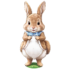 Mignon Lapin Marron 5