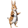 Cute Bunny Brown 2