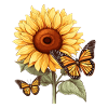 Tournesol avec papillon