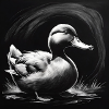 Sketch Duck