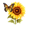 Sunflower with butterfly